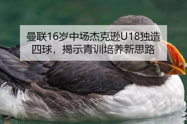 曼联16岁中场杰克逊U18独造四球，揭示青训培养新思路