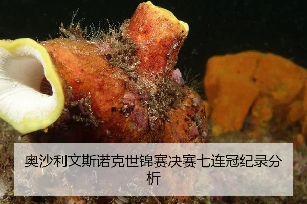 奥沙利文斯诺克世锦赛决赛七连冠纪录分析
